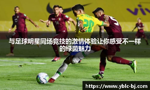与足球明星同场竞技的激情体验让你感受不一样的绿茵魅力